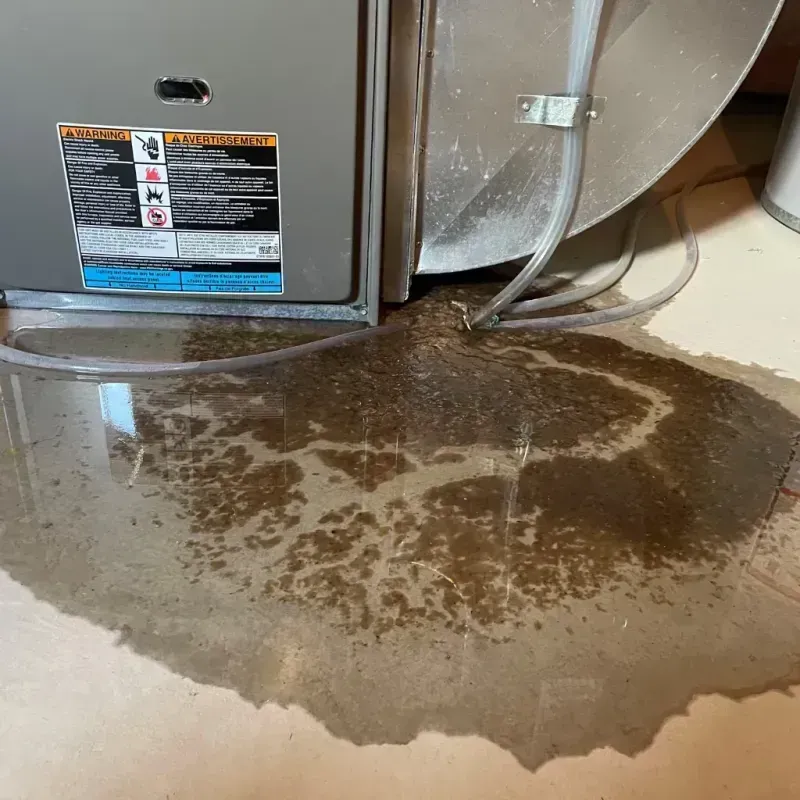 Appliance Leak Cleanup in Darby, PA